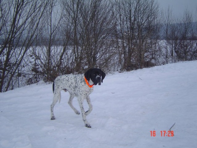 Darth - zima
16.1.2006