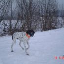 Darth - zima
16.1.2006