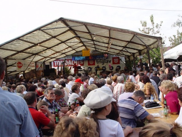 Naj kmetija 2006 - Gomboc, Gerlinci - foto