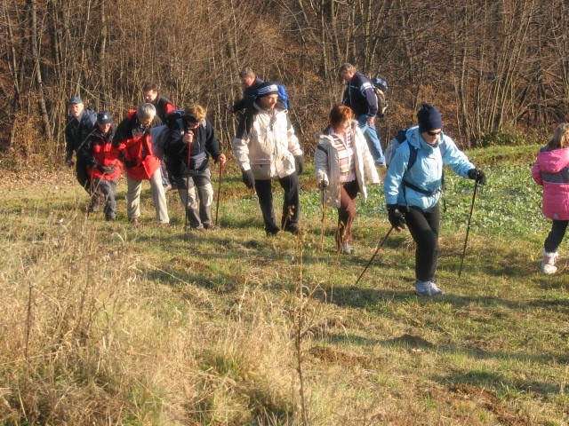 Božični pohod - foto