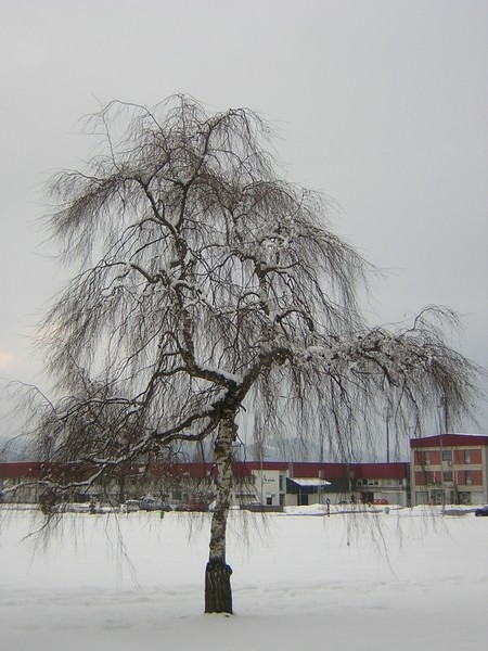 Drobtinice - foto povečava