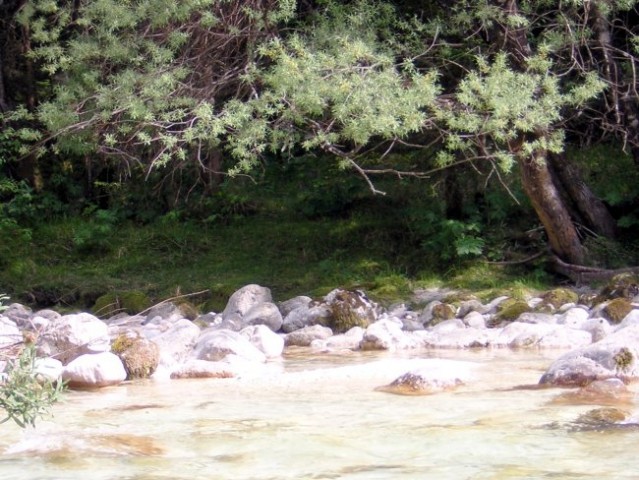 Soča, krasna si bistra hči planin - foto