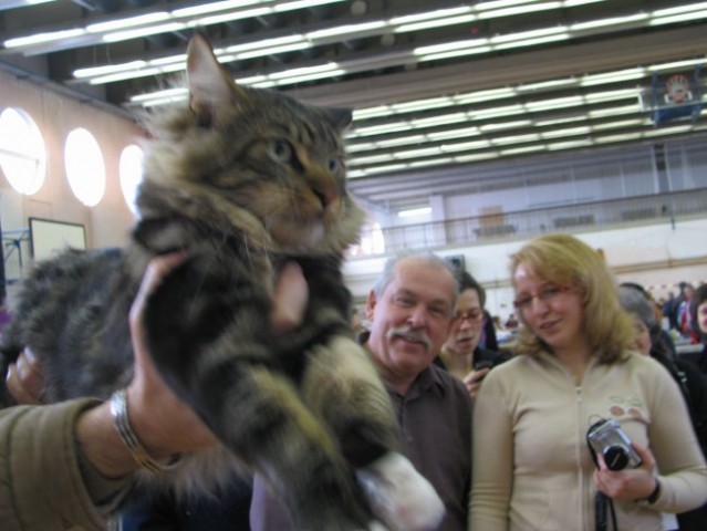 Razstava mačk, lj 2007 - foto