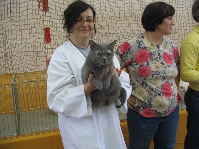 Razstava mačk, lj 2007 - foto povečava