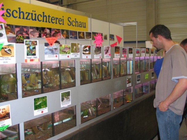 Haustiermesse - foto