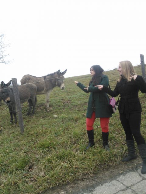 čepinci in okrog, izletek 7.1.2014 - foto