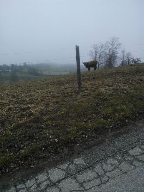 čepinci in okrog, izletek 7.1.2014 - foto