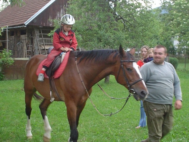 Konj na obisku... - foto