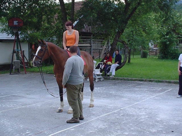 Konj na obisku... - foto povečava
