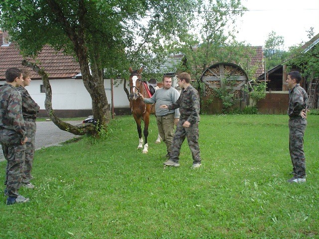 Konj na obisku... - foto