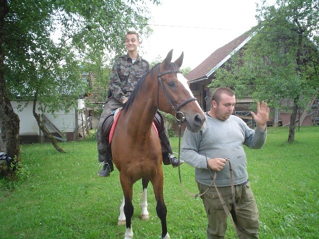 Konj na obisku... - foto