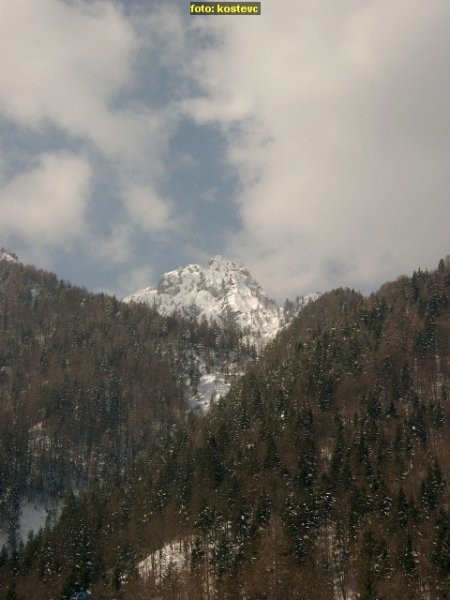 Planica 2006 - foto