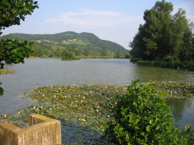 Jezera in ribniki - foto