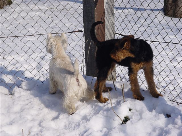 BREEZE razno - foto povečava