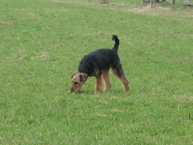 BREEZE razno - foto povečava