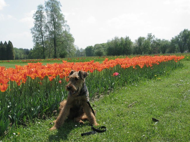 BREEZE razno - foto povečava