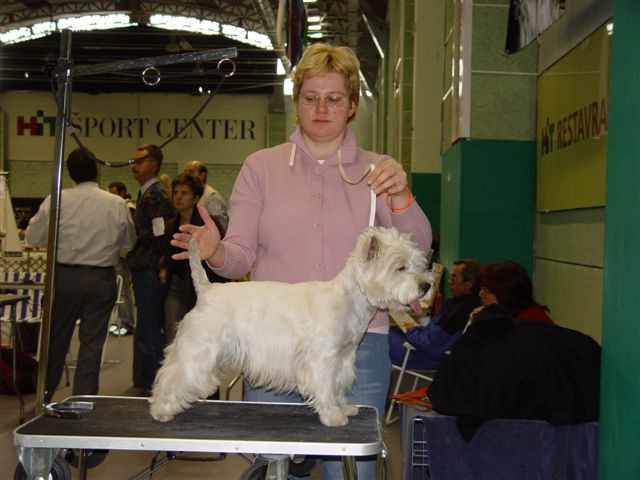 JILL WHITE MIDNIGHT STAR Vrtojba CACIB 2005 - foto povečava