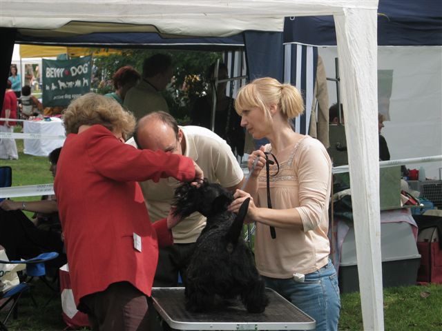 WESTIES Trbovlje 2006 - foto povečava