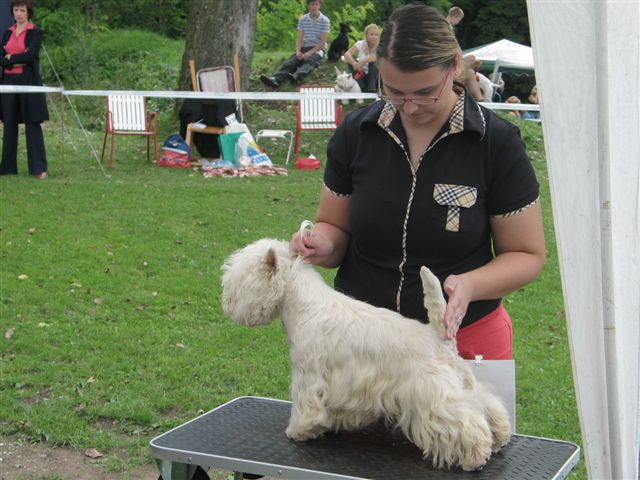 WESTIES Trbovlje 2006 - foto povečava