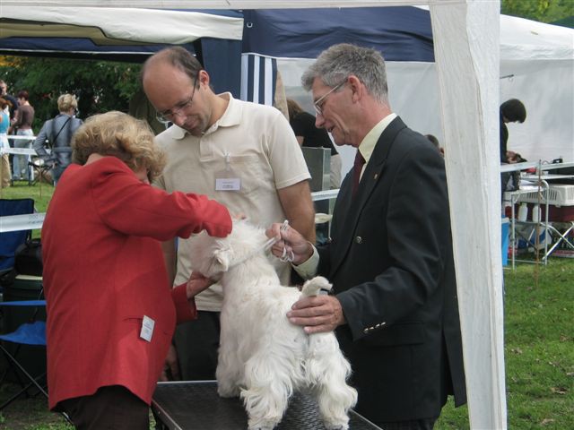 WESTIES Trbovlje 2006 - foto povečava