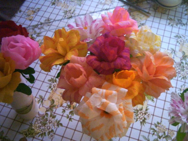 Dvobarvne vrtnice