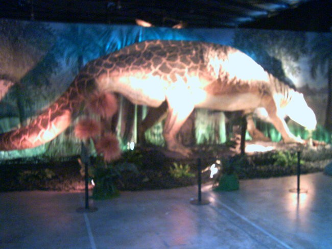 Dinozavri - foto povečava