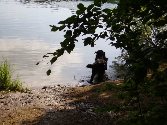 Atum - smartinsko jezero - foto