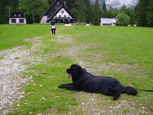 Gorenjska- junij 2007 - foto