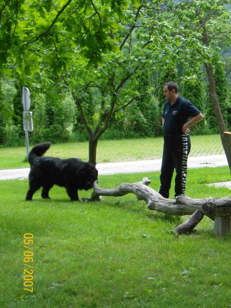 Gorenjska- junij 2007 - foto