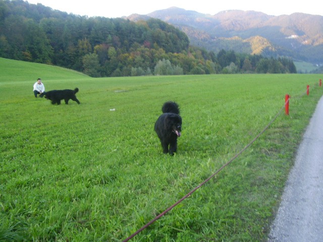 Atum, Bruno, Hera - foto povečava