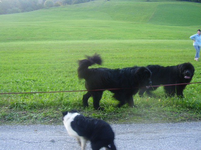 Atum, Bruno, Hera - foto povečava