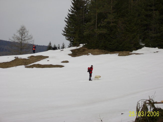 SIP-Podpeca06 - foto povečava