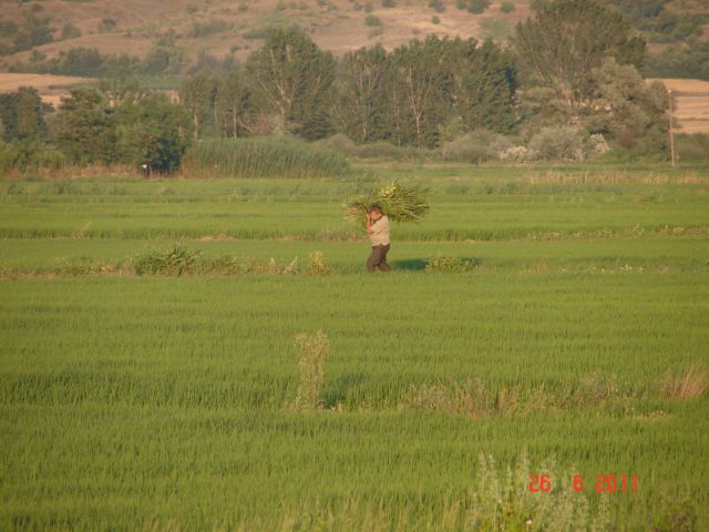 Potepanje po jugi 2011 - foto