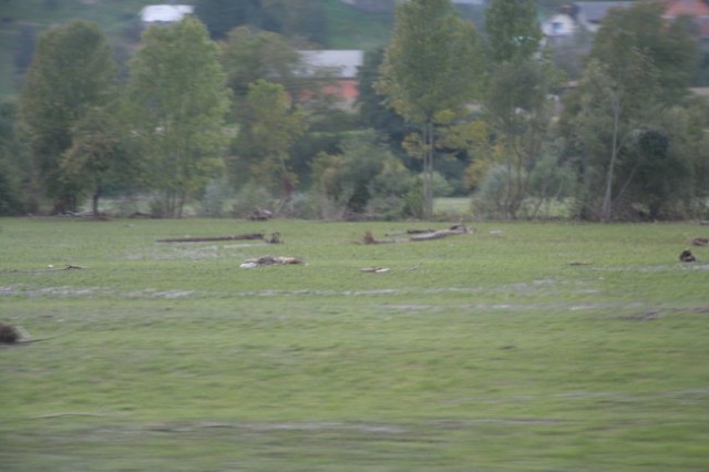 Zelezniki 2007 - foto