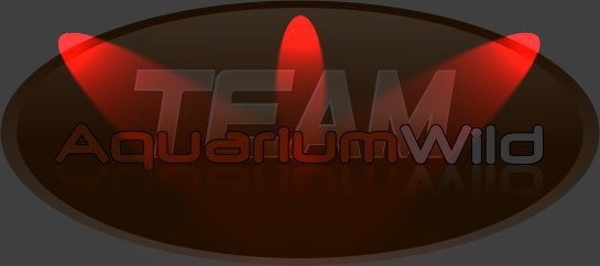 Aquariumwild  - foto