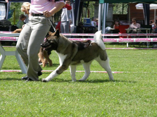 Hrušica 2008 - foto povečava