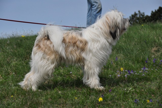 Vremščica 2009-05-10 - foto