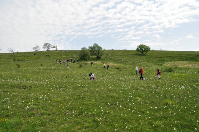 Vremščica 2009-05-10 - foto