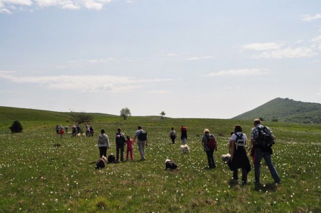 Vremščica 2009-05-10 - foto