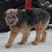 Fifi (foto: Soul)