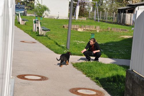 Pri Roxyju: navajanje na fleksi (foto: Soul)