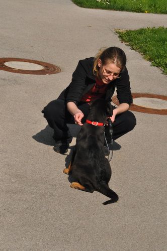 Pri Roxyju: navajanje na fleksi (foto: Soul)