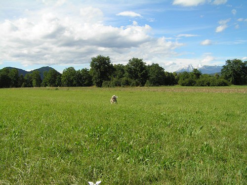 Gustav - foto povečava