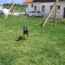 Nero teče