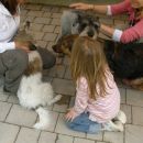 Stripi - ODDAN, Jun, Lila - LILA ODDANA