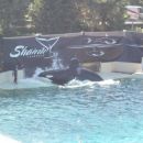 seaworld