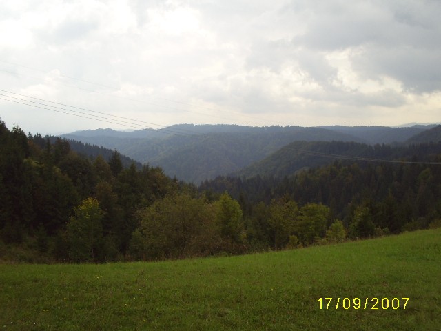 NARAVA 2007 - foto