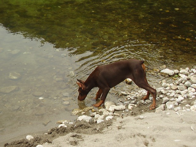 ATHENA - Nov Album - foto povečava