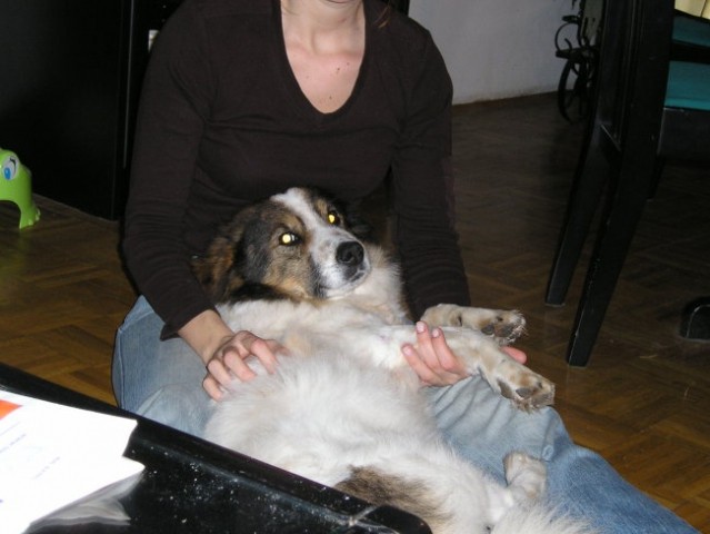 Beni - foto