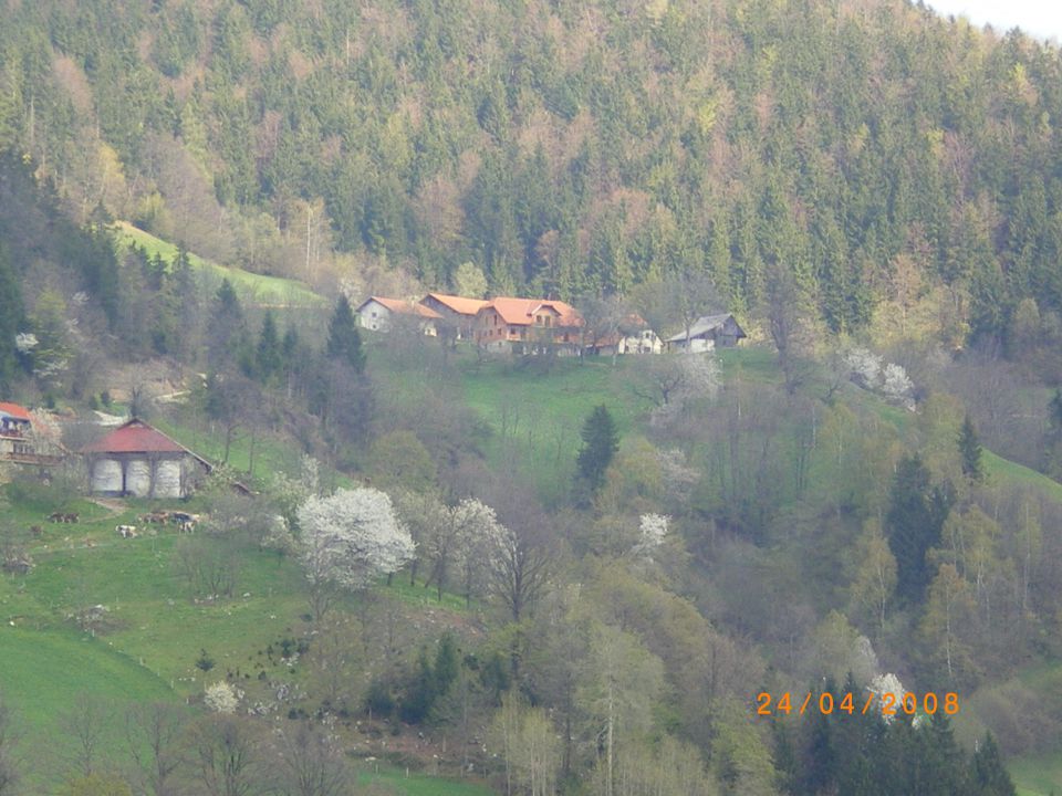 Razne slike  - foto povečava